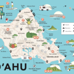 What can you do on your own at Honolulu's port?