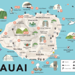 What can you do on your own at Kauai's port?
