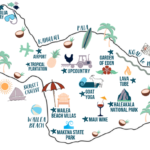 What can you do on your own at Maui's port?