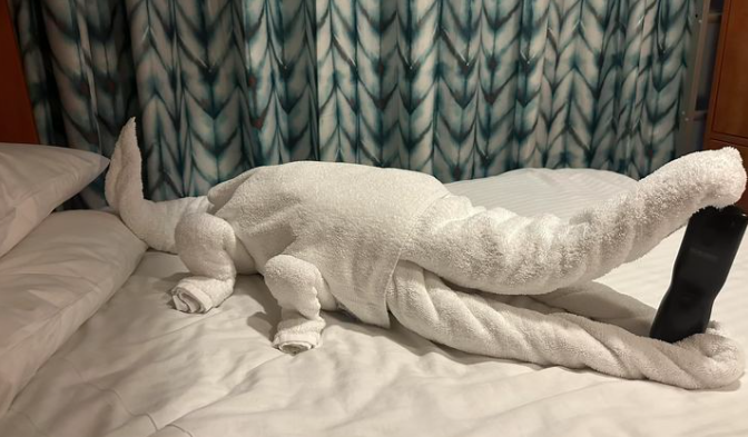 towel animal demonstration