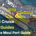 Maui Port Guide Hawaii Cruise