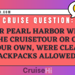 For Pearl Harbor with the cruisetour or on your own, are clear backpacks allowed?