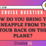 How do you bring the pineapple from the tour back on the plane?
