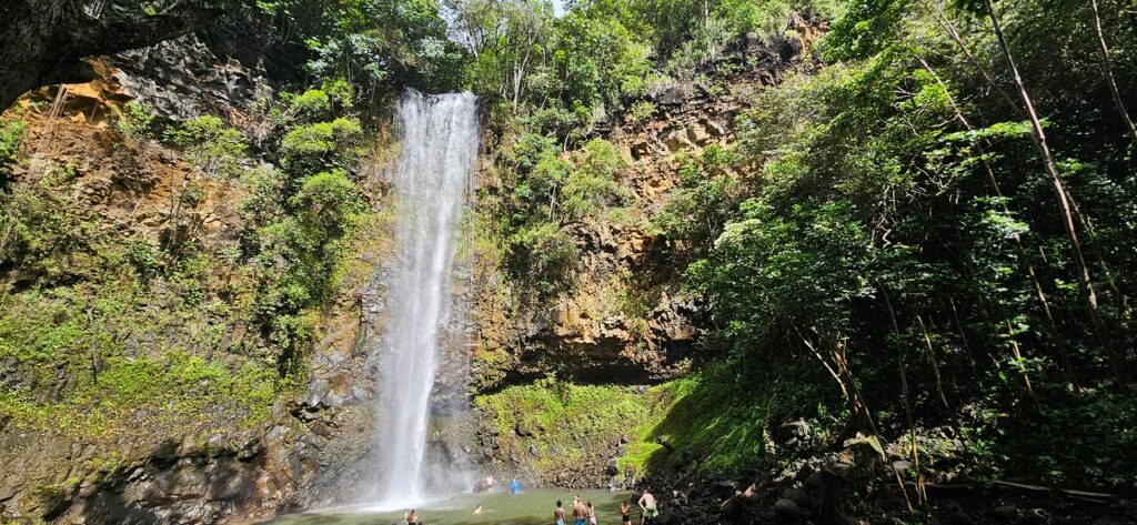 Wailua River and Secret Falls Kayak and Hiking Tour on Kauai