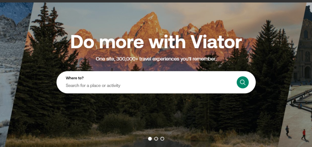 Why Choose Viator for Shore Excursions?