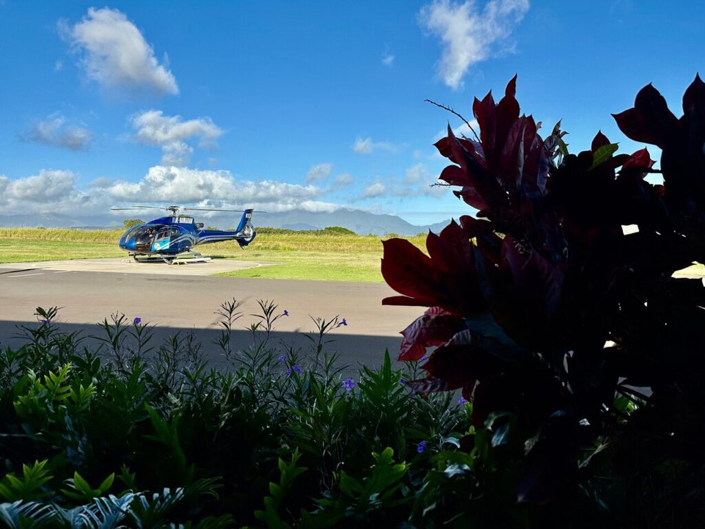 Kauai ECO Adventure Helicopter Tour for Pride of America