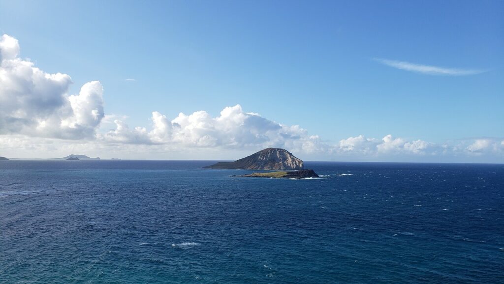 Discover Oahu's Most Stunning Views: A Half-Day Scenic Tour