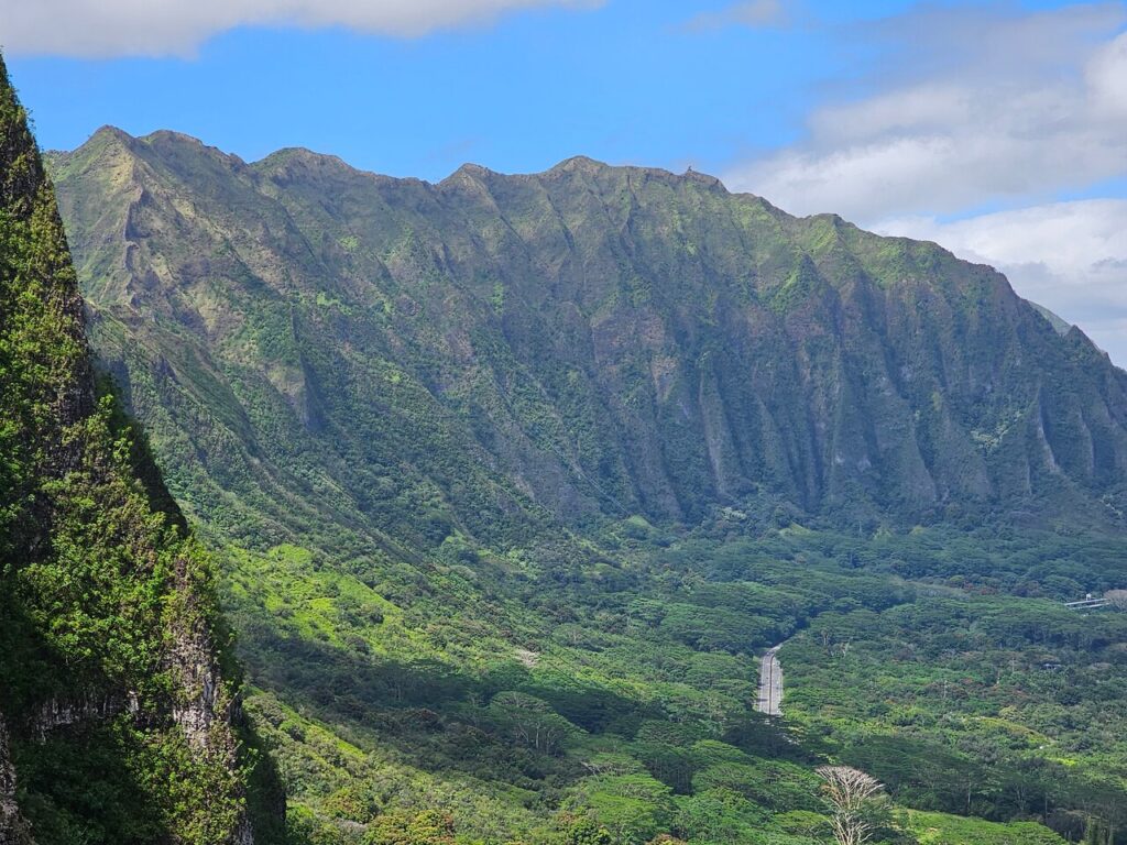 Discover Oahu's Most Stunning Views: A Half-Day Scenic Tour